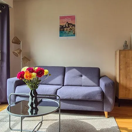 Le Pin Dore - Wifi - Centre-ville Apartamento Laval (Mayenne)